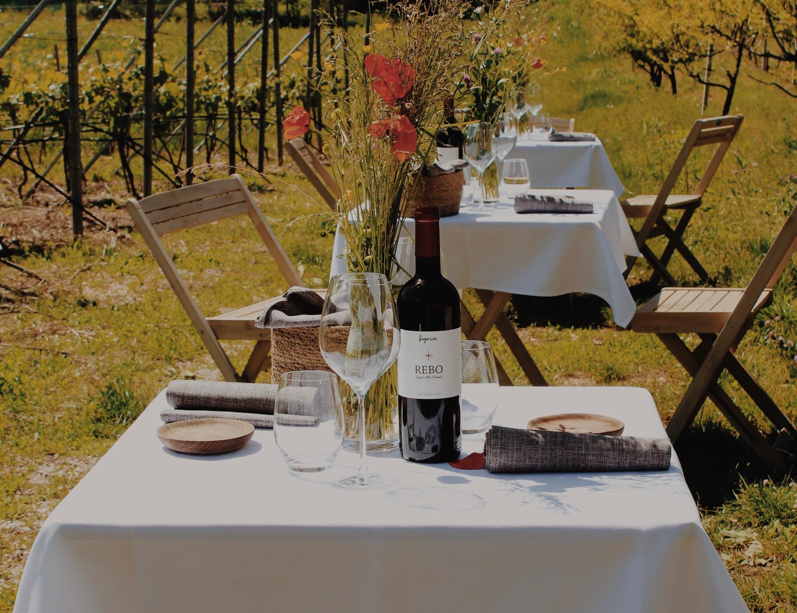 APERITIVO IN VIGNA